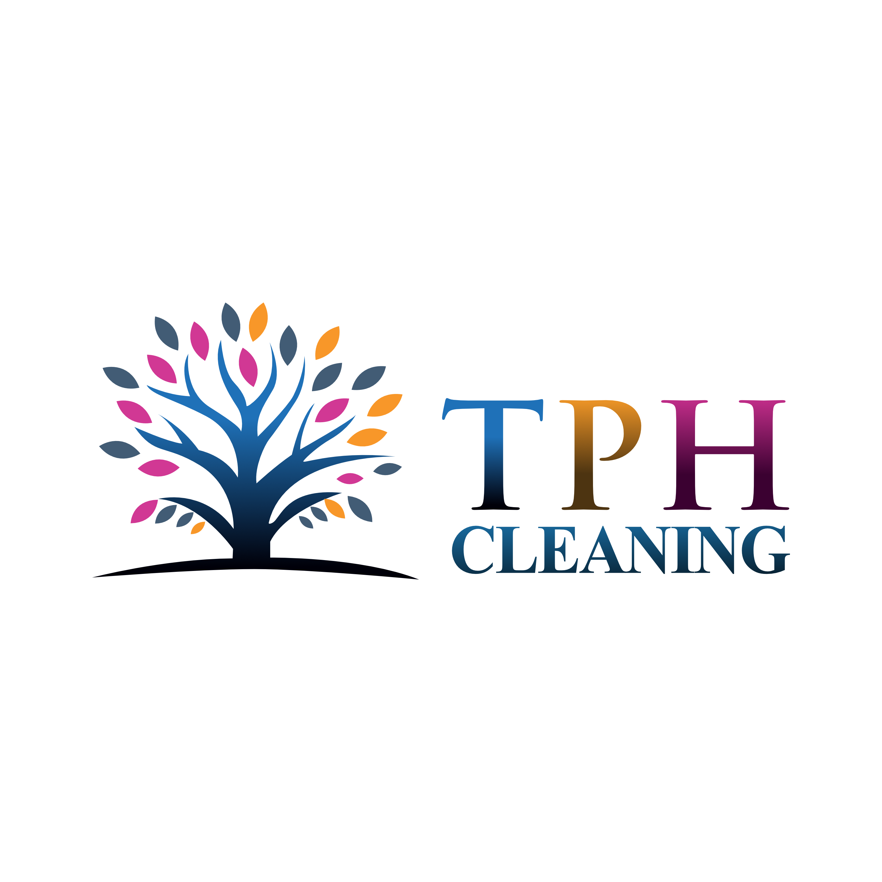 T P H Center For Domestic Workers Services LLC