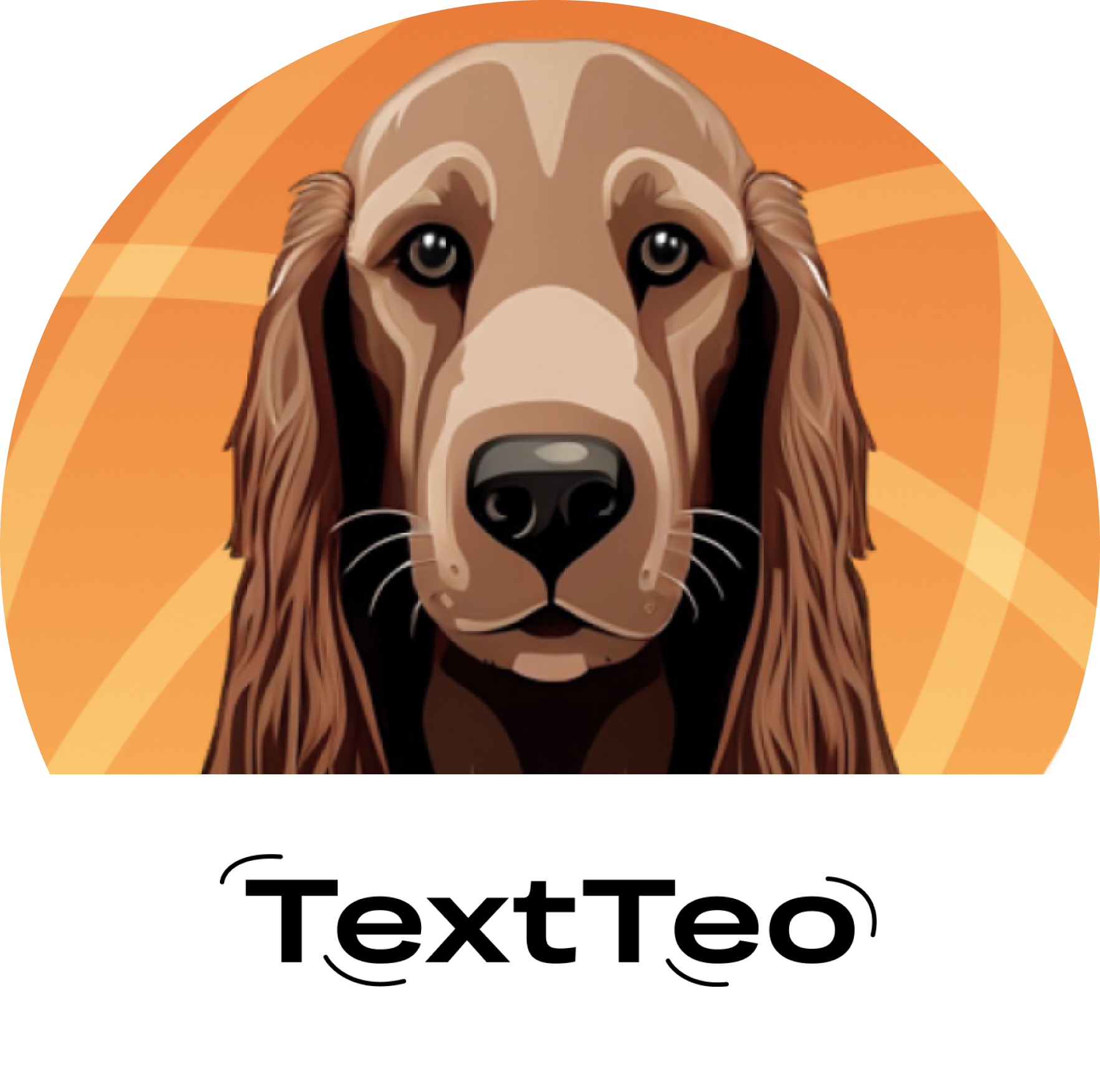 TextTeo 